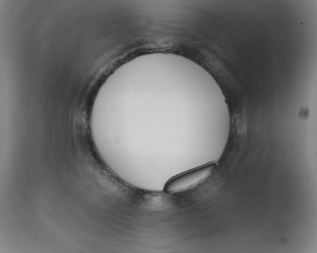 X0000112510564200909071311