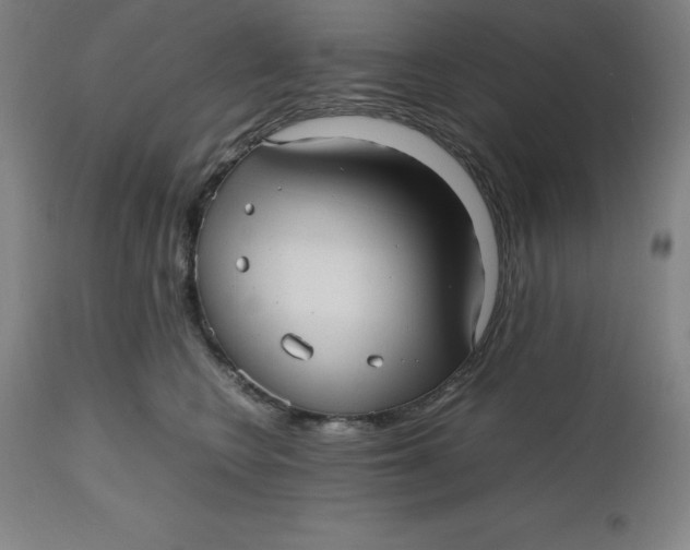 X0000112510566200909071311