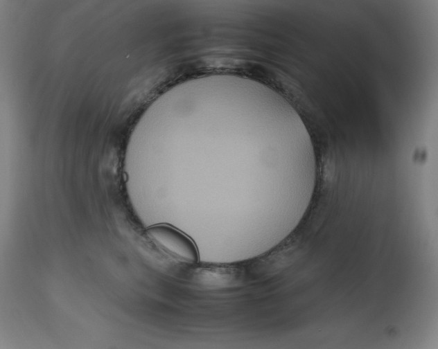 X0000112510567200909071311