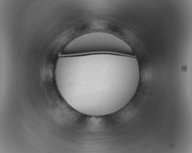 X0000112510570200909071311