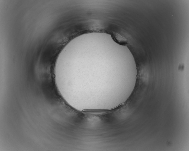 X0000112510572200909071311