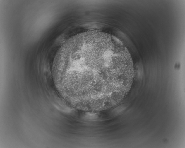 X0000112510573200909071311