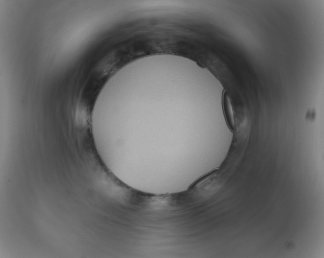 X0000112510574200909071311