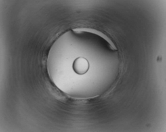 X0000112510576200909071311