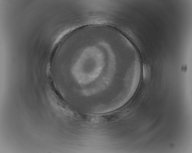 X0000112510579200909071311