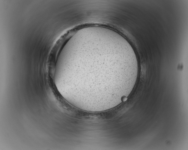 X0000112510580200909071311