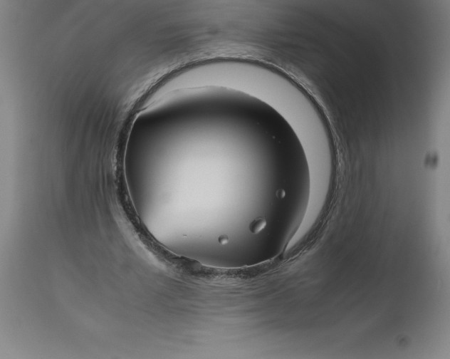 X0000112510581200909071311