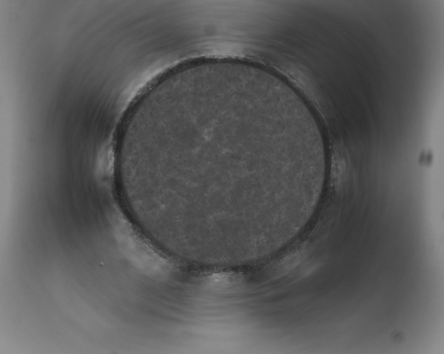 X0000112510584200909071311