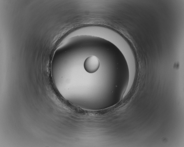 X0000112510585200909071311