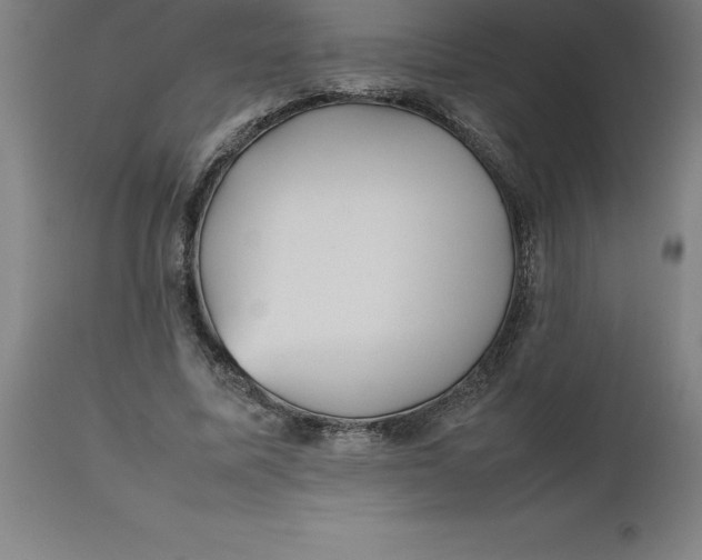 X0000112510587200909071310