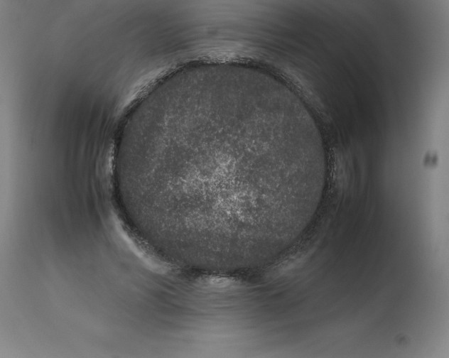 X0000112510590200909071310