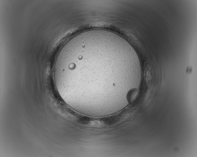 X0000112510591200909071310