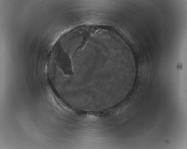 X0000112510592200909071310