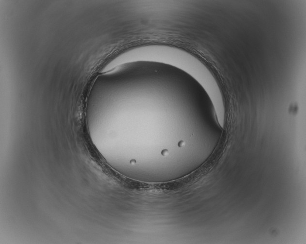 X0000112510593200909071310