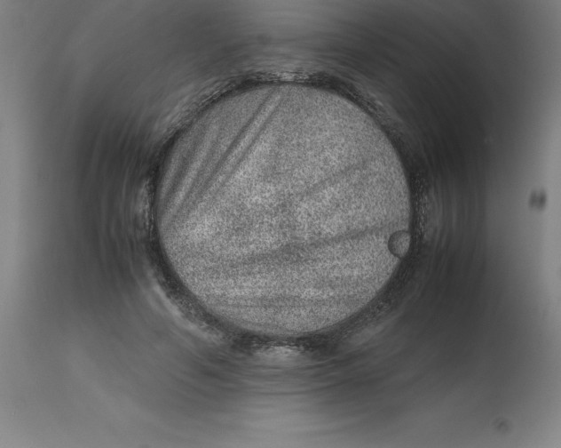 X0000112510594200909071310