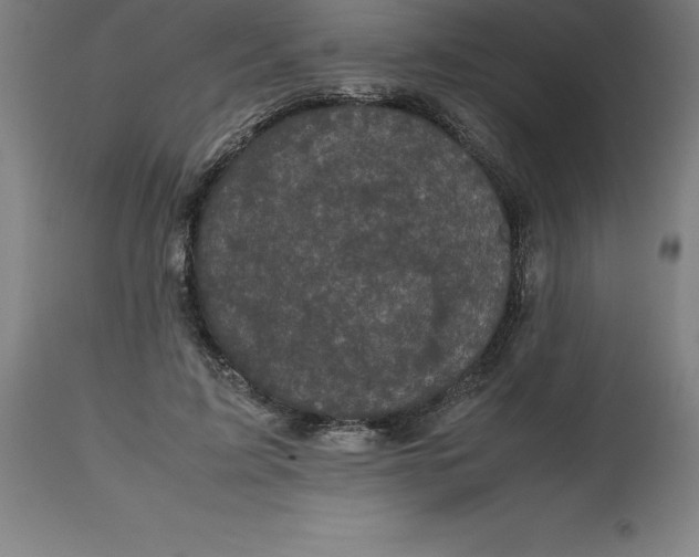 X0000112510595200909071310