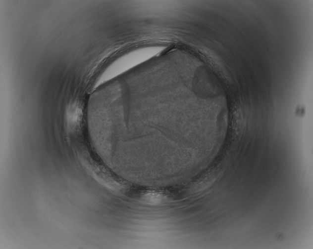 X0000112510596200909071310