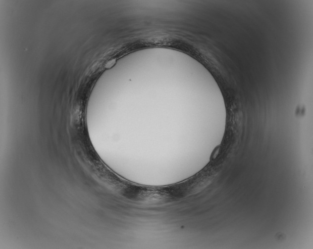 X0000112510597200909071310