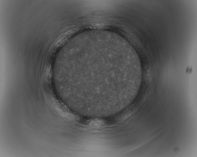 X0000112510599200909071310