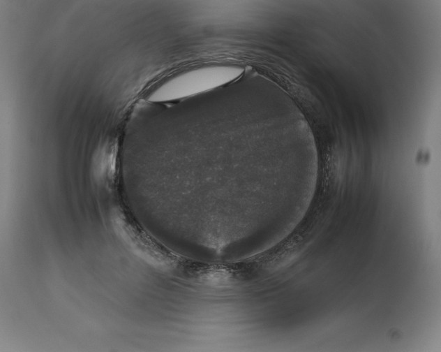 X0000112510600200909071310