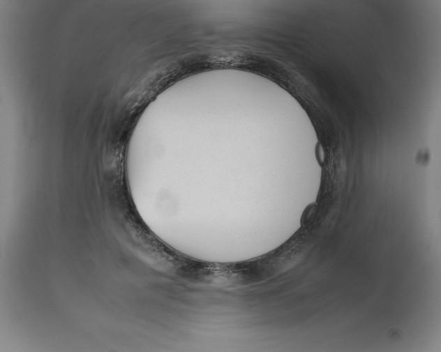 X0000112510601200909071310