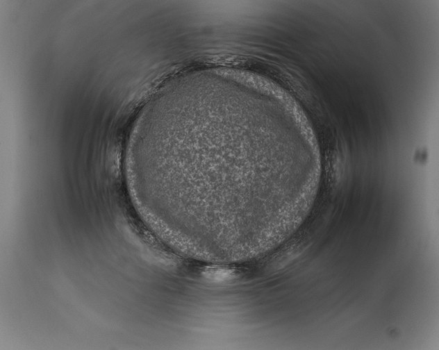 X0000112510602200909071310