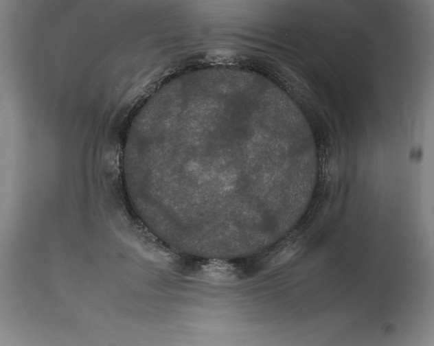 X0000112510603200909071310