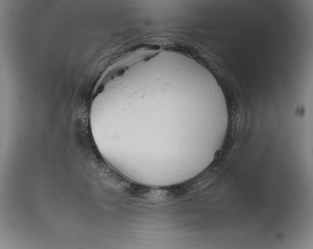 X0000112510609200909071310