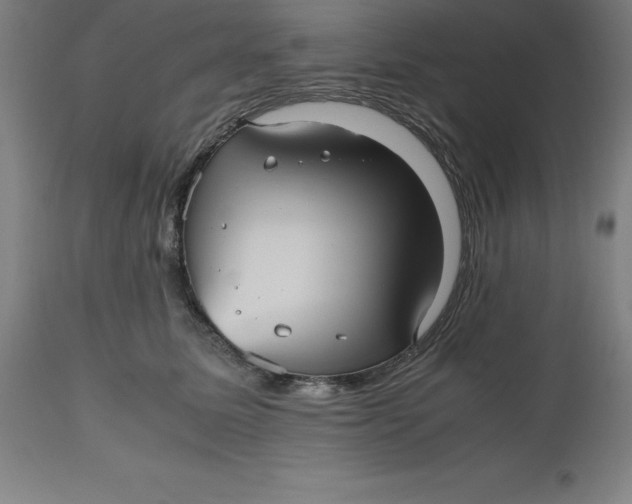 X0000112510611200909071310