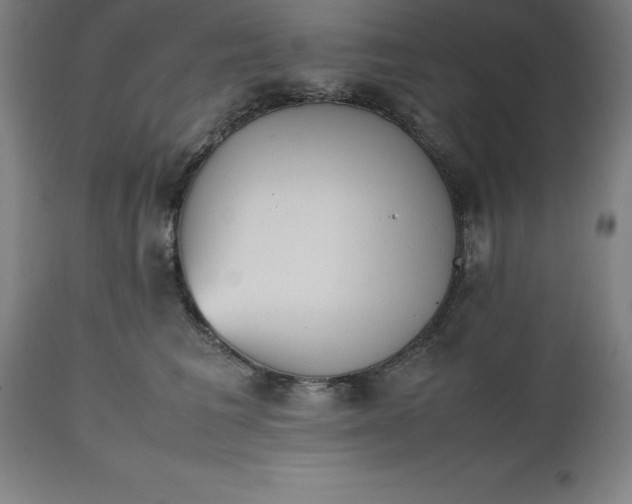 X0000112510613200909071310