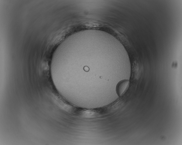 X0000112510614200909071310