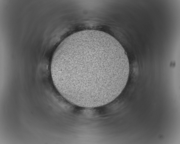 X0000112510615200909071310