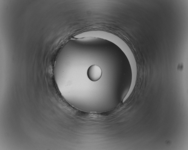 X0000112510617200909071310