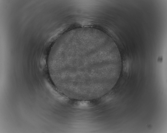 X0000112510618200909071310