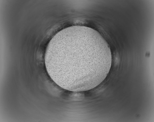 X0000112510619200909071310