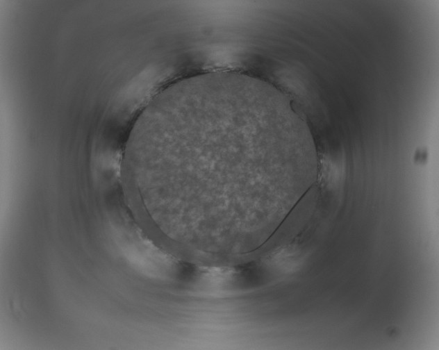 X0000112510621200909071310