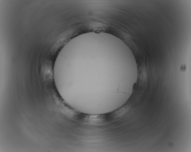 X0000112510622200909071310