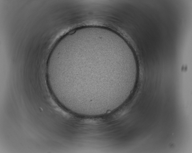 X0000112510625200909071309