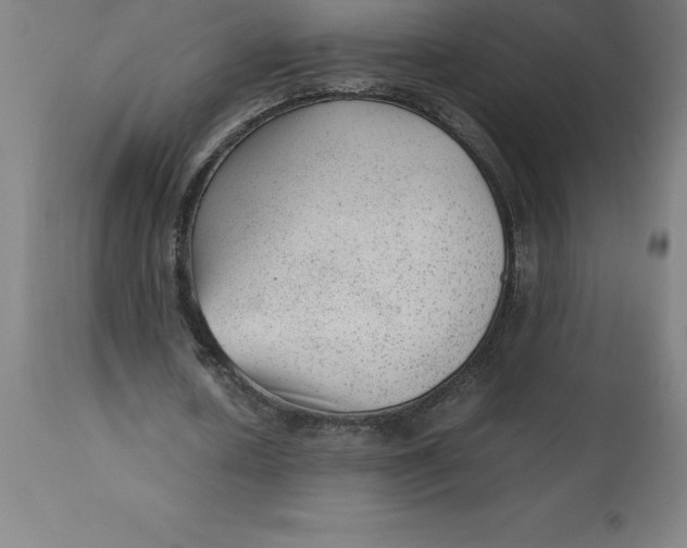 X0000112510626200909071309