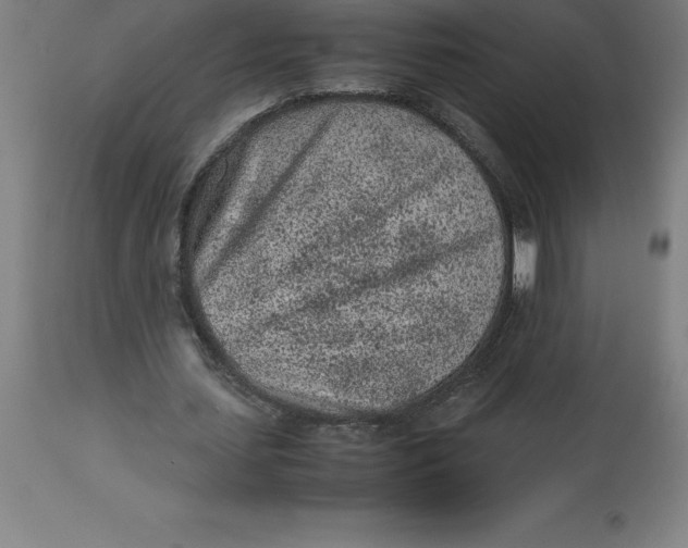 X0000112510627200909071309