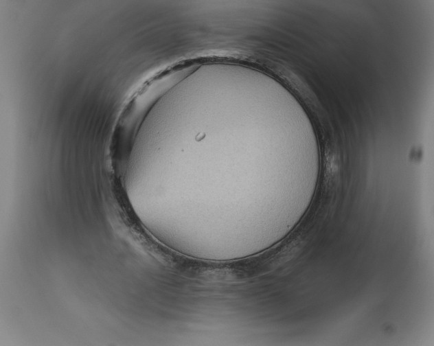 X0000112510628200909071309