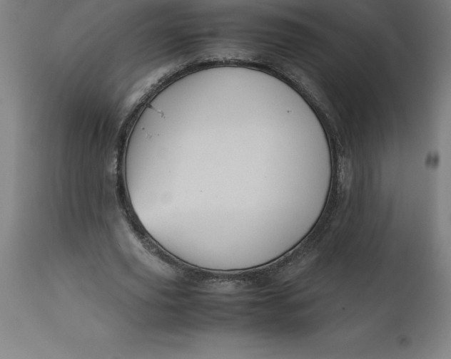 X0000112510629200909071309