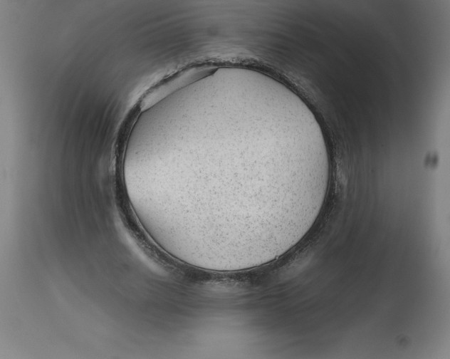 X0000112510630200909071309