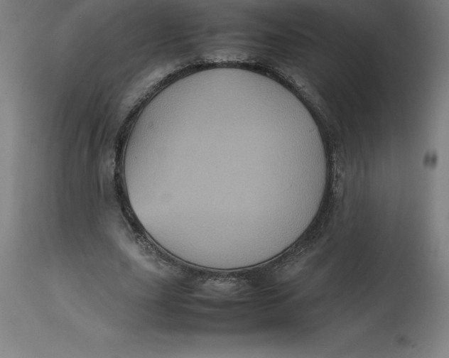 X0000112510631200909071309