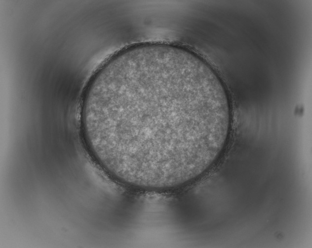 X0000112510632200909071309