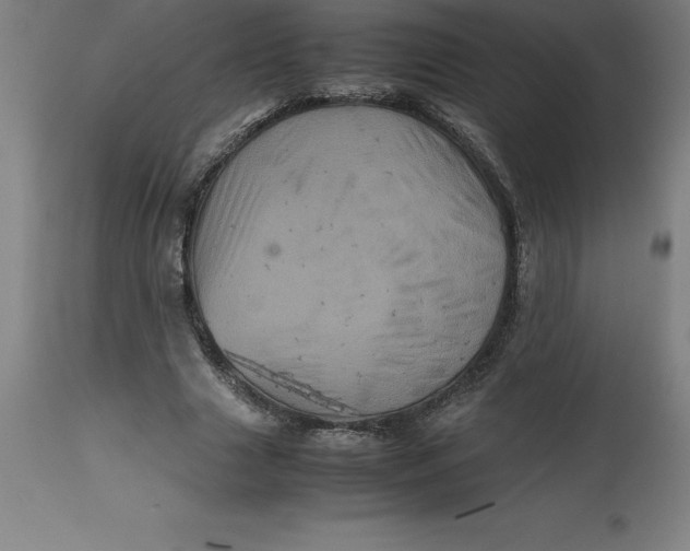 X0000112510633200909071309