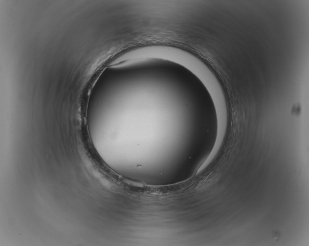 X0000112510634200909071309