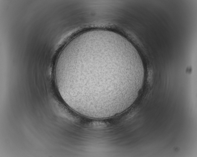 X0000112510636200909071309