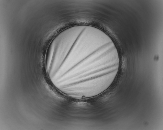 X0000112510637200909071309