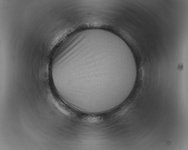 X0000112510638200909071309